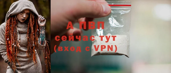 стаф Арсеньев