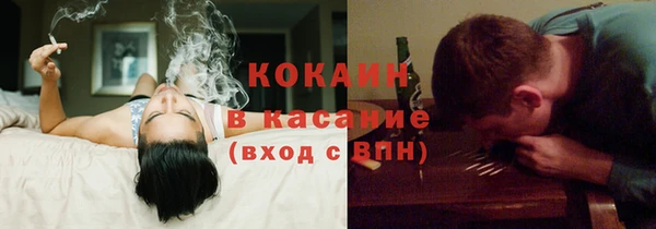 стаф Арсеньев