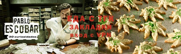 стаф Арсеньев