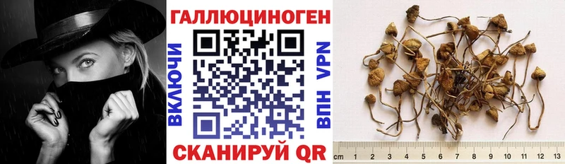 Галлюциногенные грибы Magic Shrooms  Серафимович 
